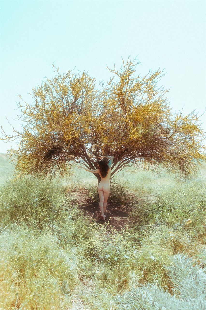 148 Dreamy — artwork by Absemir Art (conceptual photography)
